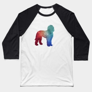 Goldendoodle / Labradoodle Baseball T-Shirt